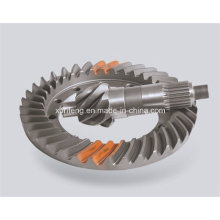 Stainless Steel Bevel Gear with Transmission